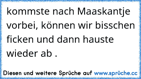 kommste nach Maaskantje vorbei, können wir bisschen ficken und dann hauste wieder ab .