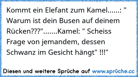 Kommt ein Elefant zum Kamel......: " Warum ist dein Busen auf deinem Rücken???".......Kamel: " Scheiss Frage von jemandem, dessen Schwanz im Gesicht hängt" !!!"