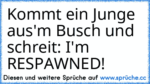 Kommt ein Junge aus'm Busch und schreit: I'm RESPAWNED!