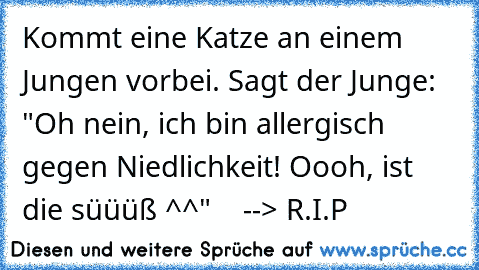 Kommt eine Katze an einem Jungen vorbei. Sagt der Junge: "Oh nein, ich bin allergisch gegen Niedlichkeit! Oooh, ist die süüüß ^^"    --> R.I.P