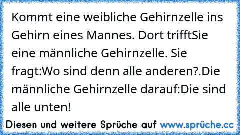 Kommt eine weibliche Gehirnzelle ins Gehirn eines Mannes. Dort trifft
Sie eine männliche Gehirnzelle. Sie fragt:”Wo sind denn alle anderen?”.
Die männliche Gehirnzelle darauf:”Die sind alle unten!”