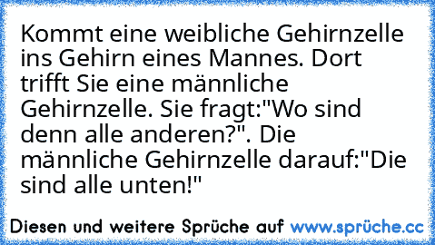 Kommt eine weibliche Gehirnzelle ins Gehirn eines Mannes. Dort trifft Sie eine männliche Gehirnzelle. Sie fragt:"Wo sind denn alle anderen?". Die männliche Gehirnzelle darauf:"Die sind alle unten!"