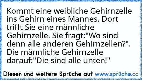 Kommt eine weibliche Gehirnzelle ins Gehirn eines Mannes. Dort trifft Sie eine männliche Gehirnzelle. Sie fragt:"Wo sind denn alle anderen Gehirnzellen?". Die männliche Gehirnzelle darauf:"Die sind alle unten!"