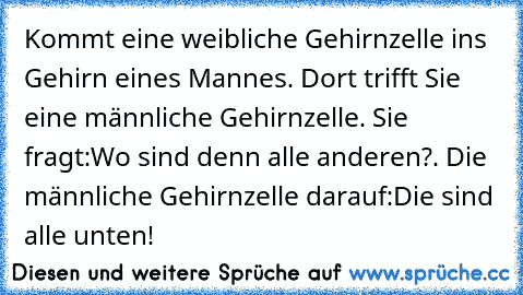 Kommt eine weibliche Gehirnzelle ins Gehirn eines Mannes. Dort trifft Sie eine männliche Gehirnzelle. Sie fragt:”Wo sind denn alle anderen?”. Die männliche Gehirnzelle darauf:”Die sind alle unten!”