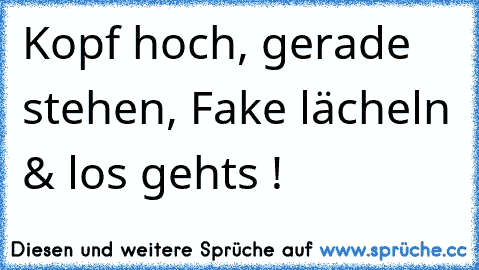 Kopf hoch, gerade stehen, Fake lächeln & los gehts ! ♥