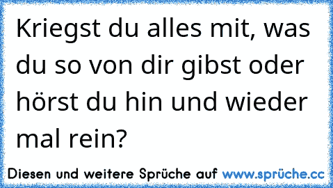 Kriegst du alles mit, was du so von dir gibst oder hörst du hin und wieder mal rein?