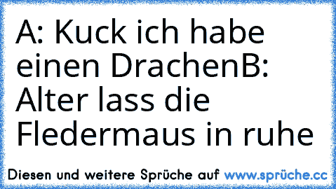 A: Kuck ich habe einen Drachen
B: Alter lass die Fledermaus in ruhe