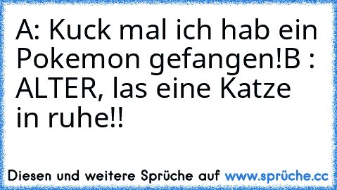 A: Kuck mal ich hab ein Pokemon gefangen!
B : ALTER, las eine Katze in ruhe!!