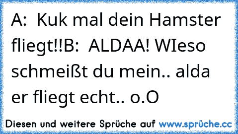 A:  Kuk mal dein Hamster fliegt!!
B:  ALDAA! WIeso schmeißt du mein.. alda er fliegt echt.. o.O