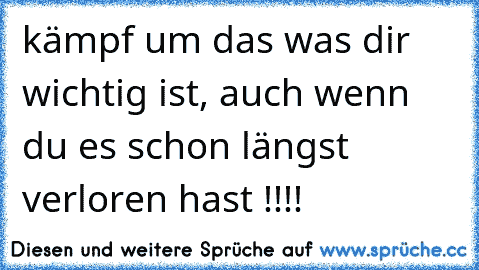 kämpf um das was dir wichtig ist, auch wenn du es schon längst verloren hast !!!!