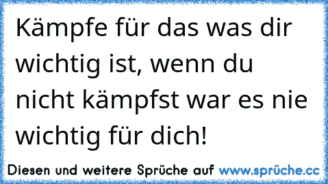 Kämpfe für das was dir wichtig ist, wenn du nicht kämpfst war es nie wichtig für dich!