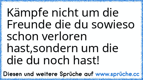 Kämpfe nicht um die Freunde die du sowieso schon verloren hast,sondern um die die du noch hast!