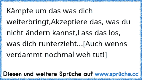 Kämpfe um das was dich weiterbringt,
Akzeptiere das, was du nicht ändern kannst,
Lass das los, was dich runterzieht...
[Auch wenns verdammt nochmal weh tut!]