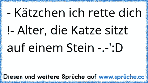 - Kätzchen ich rette dich !
- Alter, die Katze sitzt auf einem Stein -.-'
:D