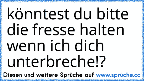 könntest du bitte die fresse halten wenn ich dich unterbreche!?