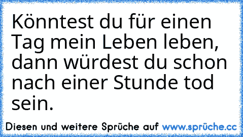 Könntest du für einen Tag mein Leben leben, dann würdest du schon nach einer Stunde tod sein.