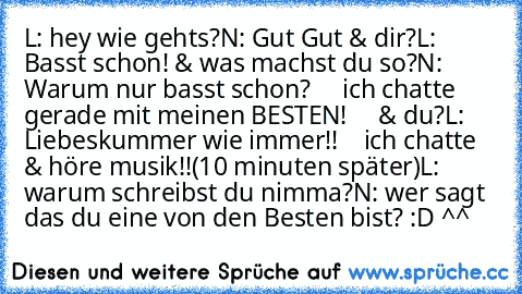 L: hey wie gehts?
N: Gut Gut & dir?
L: Basst schon! & was machst du so?
N: Warum nur basst schon?
     ich chatte gerade mit meinen BESTEN!
     & du?
L: Liebeskummer wie immer!!
    ich chatte & höre musik!!
(10 minuten später)
L: warum schreibst du nimma?
N: wer sagt das du eine von den Besten bist? :D ^^