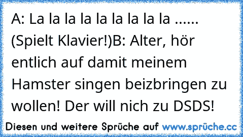 A: La la la la la la la la la ...... (Spielt Klavier!)
B: Alter, hör entlich auf damit meinem Hamster singen beizbringen zu wollen! Der will nich zu DSDS!