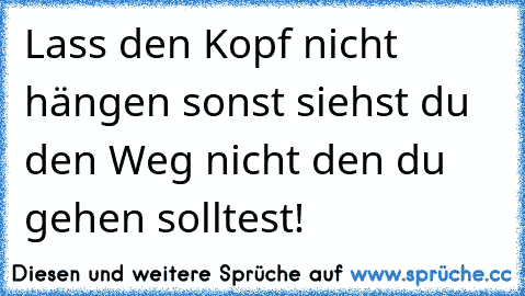 Lass den Kopf nicht hängen sonst siehst du den Weg nicht den du gehen solltest!