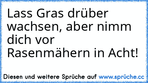 Lass Gras drüber wachsen, aber nimm dich vor Rasenmähern in Acht!