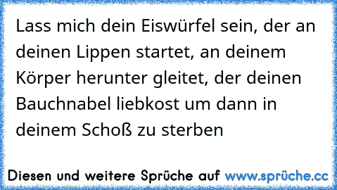 Lass mich dein Eiswürfel sein, der an deinen Lippen startet, an deinem Körper herunter gleitet, der deinen Bauchnabel liebkost um dann in deinem Schoß zu sterben