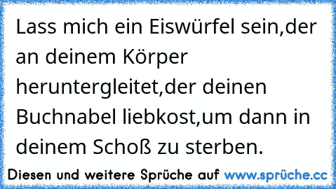 Lass mich ein Eiswürfel sein,
der an deinem Körper heruntergleitet,
der deinen Buchnabel liebkost,
um dann in deinem Schoß zu sterben.