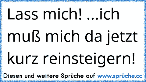 Lass mich! ...ich muß mich da jetzt kurz reinsteigern!