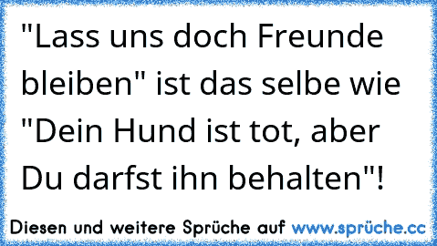 "Lass uns doch Freunde bleiben" ist das selbe wie "Dein Hund ist tot, aber Du darfst ihn behalten"!