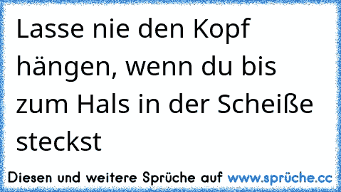 Lasse nie den Kopf hängen, wenn du bis zum Hals in der Scheiße steckst