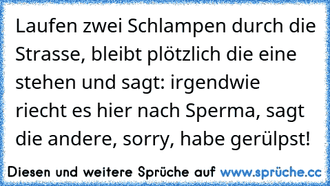 Laufen zwei Schlampen durch die Strasse, bleibt plötzlich die eine stehen und sagt: irgendwie riecht es hier nach Sperma, sagt die andere, sorry, habe gerülpst!