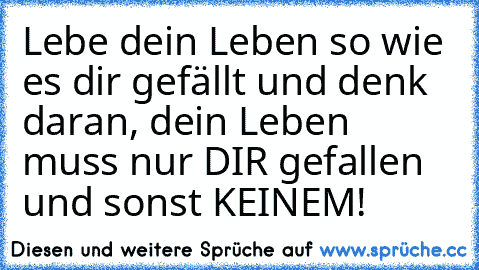 Lebe dein Leben so wie es dir gefällt und denk daran, dein Leben muss nur DIR gefallen und sonst KEINEM!