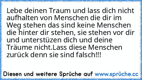 Lebe deinen Traum und lass dich nicht aufhalten von Menschen die dir im Weg stehen das sind keine Menschen die hinter dir stehen, sie stehen vor dir und unterstüzen dich und deine Träume nicht.
Lass diese Menschen zurück denn sie sind falsch!!!