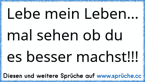 Lebe mein Leben... mal sehen ob du es besser machst!!!