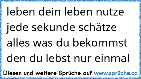 leben dein leben nutze jede sekunde schätze alles was du bekommst den du lebst nur einmal