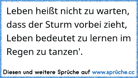 Leben heißt nicht zu warten, dass der Sturm vorbei zieht, Leben bedeutet zu lernen im Regen zu tanzen'. ♥