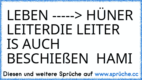 LEBEN -----> HÜNER LEITER
DIE LEITER IS AUCH BESCHIEßEN
 ♥ HAMI ♥