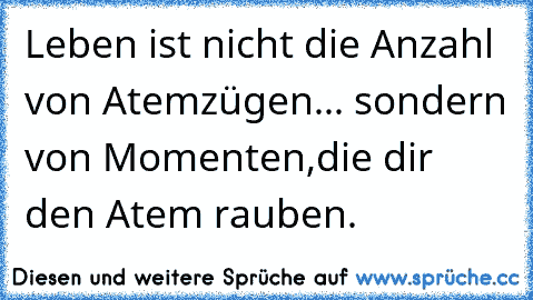 Leben ist nicht die Anzahl von Atemzügen... sondern von Momenten,die dir den Atem rauben.