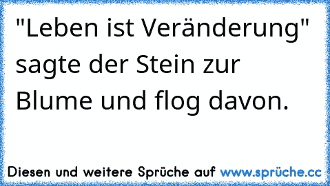 "Leben ist Veränderung" sagte der Stein zur Blume und flog davon.