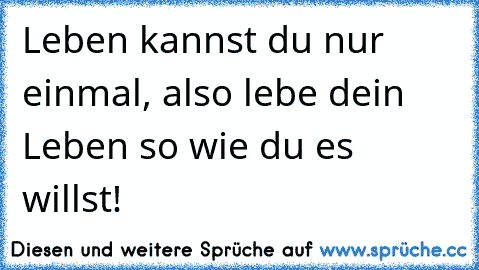 Leben kannst du nur einmal, also lebe dein Leben so wie du es willst!