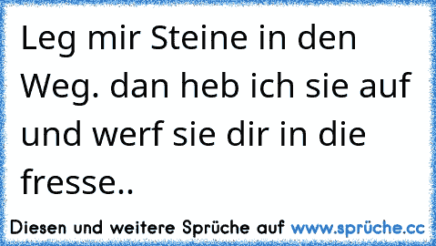 Leg mir Steine in den Weg. dan heb ich sie auf und werf sie dir in die fresse..