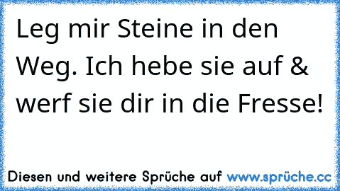 Leg mir Steine in den Weg. Ich hebe sie auf & werf sie dir in die Fresse!