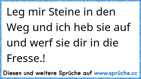 Leg mir Steine in den Weg und ich heb sie auf und werf sie dir in die Fresse.!