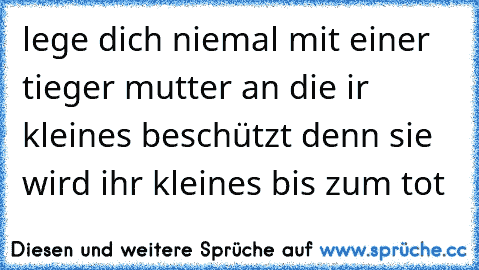 lege dich niemal mit einer tieger mutter an die ir kleines beschützt denn sie wird ihr kleines bis zum tot