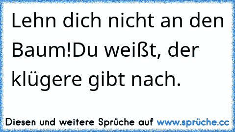 Lehn dich nicht an den Baum!
Du weißt, der klügere gibt nach.