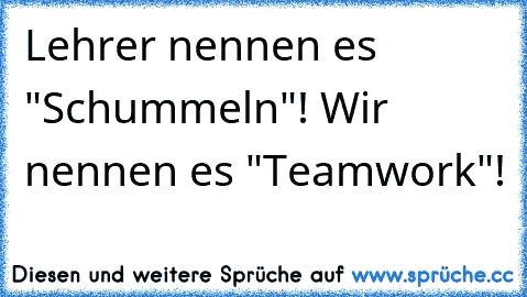 Lehrer nennen es "Schummeln"! Wir nennen es "Teamwork"!