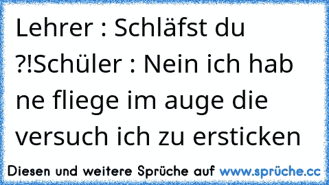 Lehrer : Schläfst du ?!
Schüler : Nein ich hab ne fliege im auge die versuch ich zu ersticken