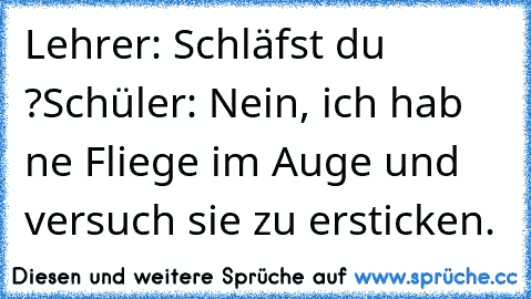 Lehrer: Schläfst du  ?
Schüler: Nein, ich hab ne Fliege im Auge und versuch sie zu ersticken.