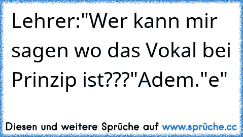 Lehrer:"Wer kann mir sagen wo das Vokal bei Prinzip ist???"
Adem."e"