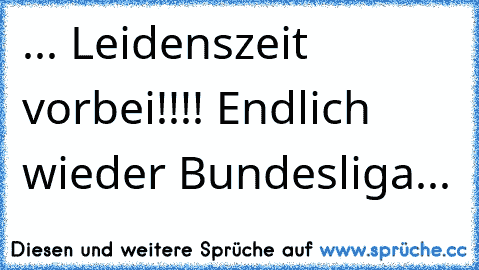 ... Leidenszeit vorbei!!!! Endlich wieder Bundesliga... ♥