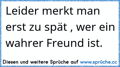 Leider merkt man erst zu spät , wer ein wahrer Freund ist.